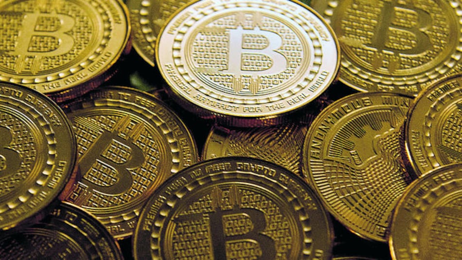 Chaucha se afianza en mercado chileno