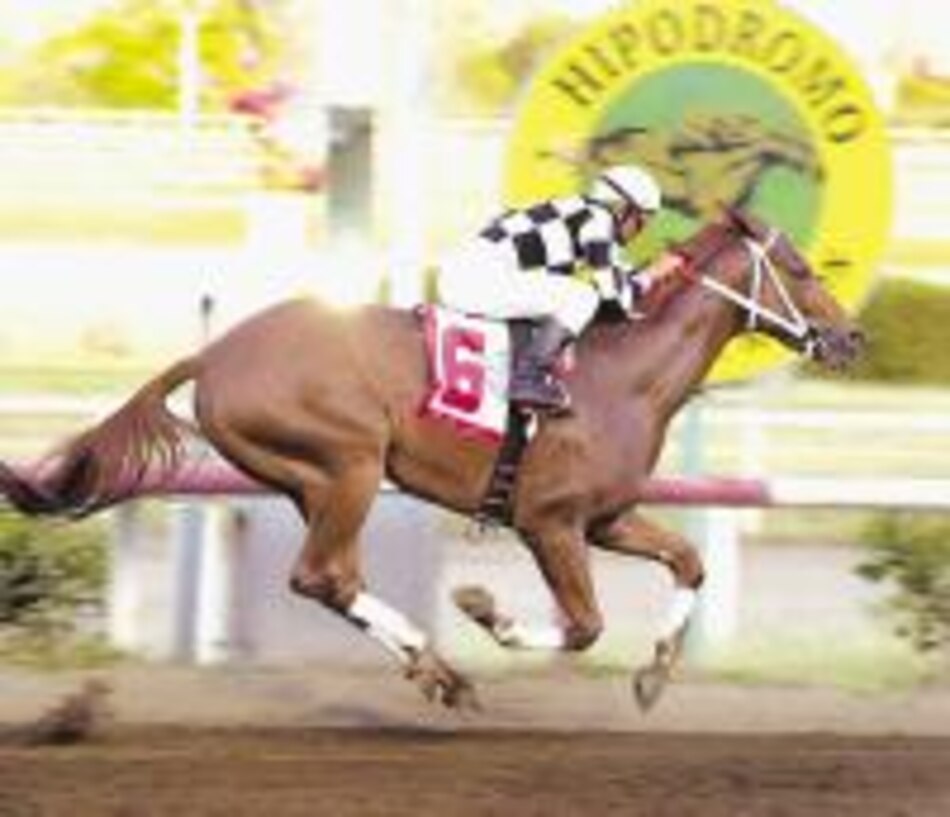 'Cachito' lució grande