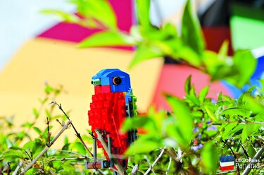Exhibición de aves de Lego en el Biomuseo