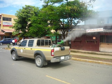 Criaderos de mosquitos en Los Santos se albergan en recipientes útiles