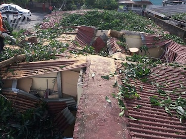 Árbol cae sobre residencia en Juan Díaz