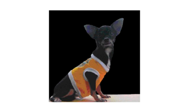 El modelo Max