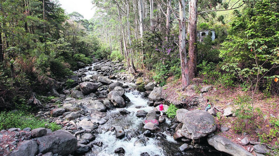 Presentan nueva versión de guía turística