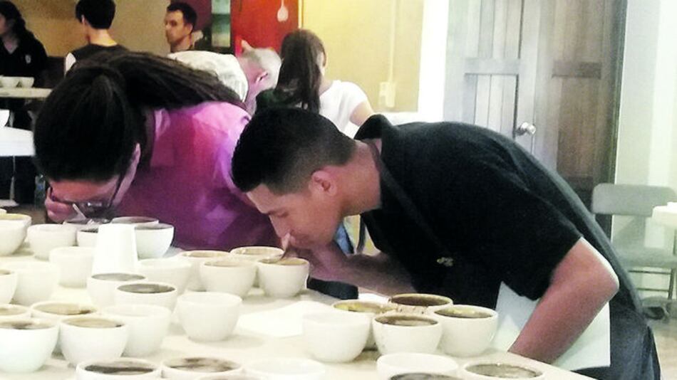 El mejor café de Panamá pasa por selección