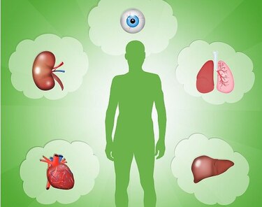 Salve vidas, sea donante de órganos y tejidos