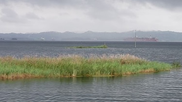 El Ferrocarril Transístmico, locomotora del turismo