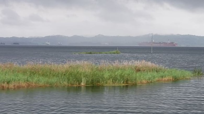 El Ferrocarril Transístmico, locomotora del turismo