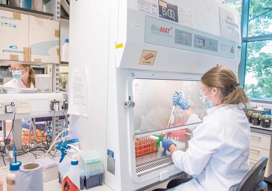 Las vacunas anticovid serán gratuitas en territorio italiano