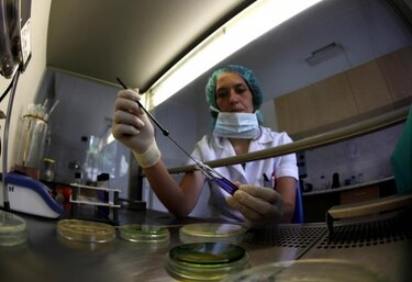 Bacterias resistentes desafían al congreso sobre enfermedades infecciosas