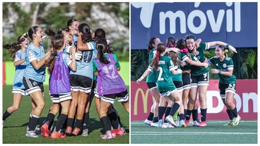 LigaW: Dolphins y Lions avanzaron en semifinales y disputarán campeonato