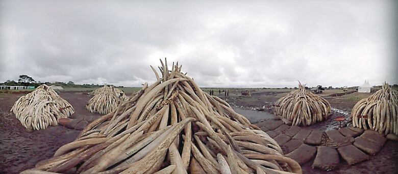 ‘We Are One’, el festival mundial de cine