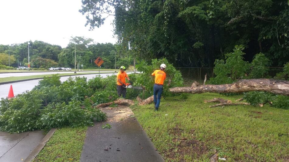 Hasta el 21 de septiembre estará vigente un aviso por aguaceros y tormentas