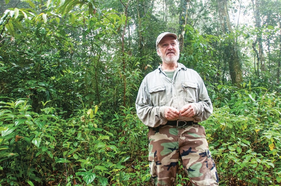 Las abejas de las orquídeas y los eventos climáticos fuertes
