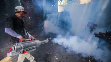 Un mosquito amenaza con desatar una epidemia incontrolable en Centroamérica