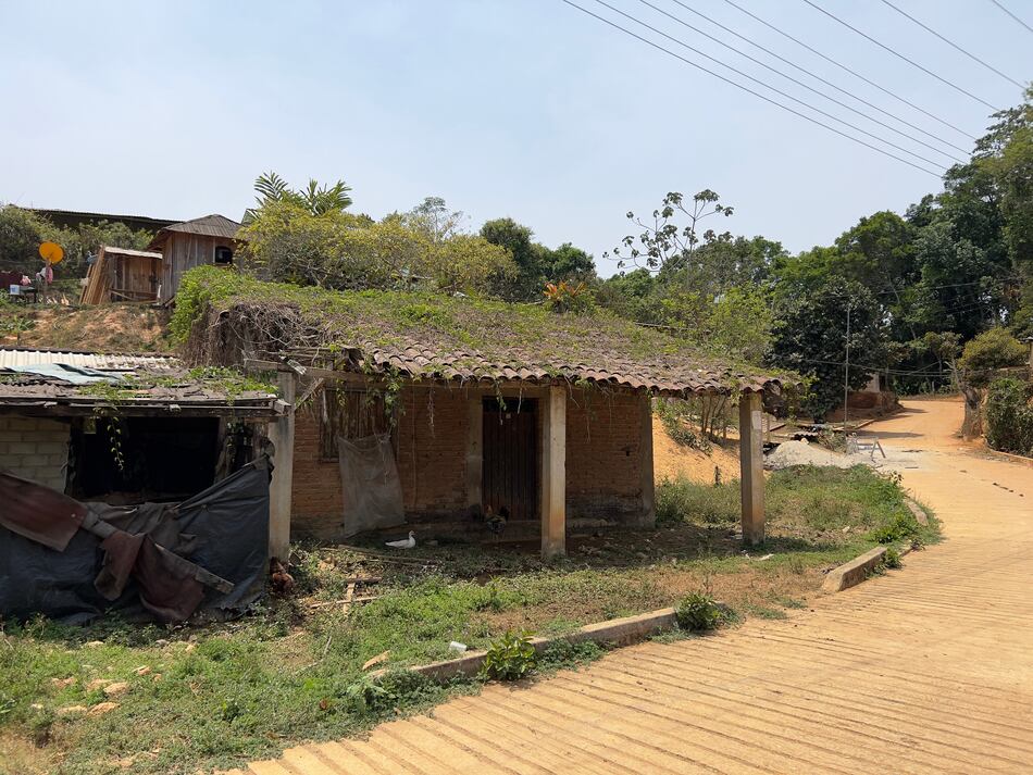 Guatemala, México y Honduras: los nuevos confines de la coca