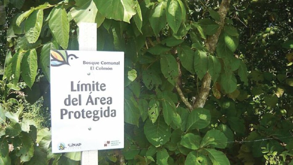 El Colmón, la primera área protegida del país, cumple 100 años