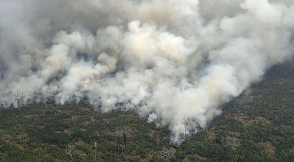 La Amazonía domina el comienzo de la Cumbre del G7