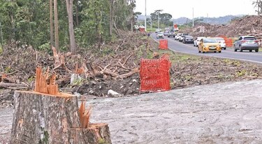 Ampliación de vía impacta áreas de Camino de Cruces