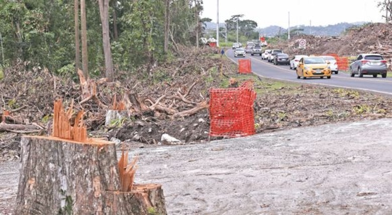 Ampliación de vía impacta áreas de Camino de Cruces