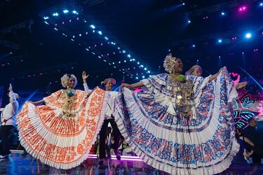 De léxicos específicos y nuestra pollera