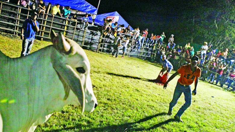 Tradición de patronales