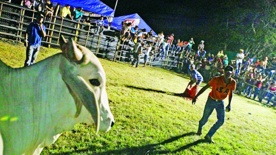 Tradición de patronales