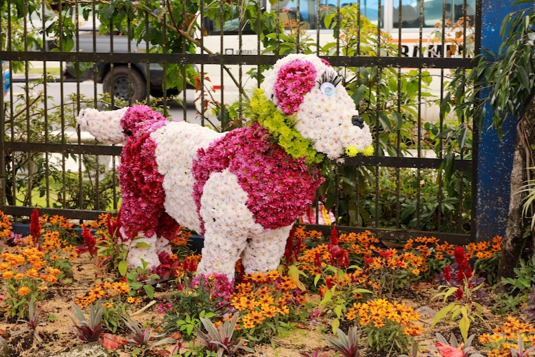 Un viaje por el color y el aroma de las flores que adornan las calles de Volcán