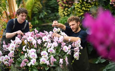 La biodiversidad de Costa Rica homenajeada en festival de orquídeas británico