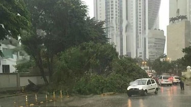 Aguacero causa caída de árboles sobre calles y viviendas