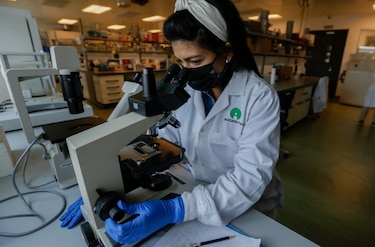 Panamá alinea estrategia para ser un productor de vacunas