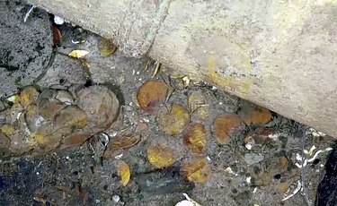 Los tesoros del San José
