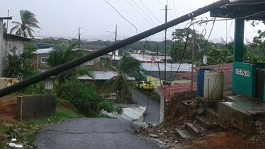 Árboles caídos tras fuertes lluvias en Colón