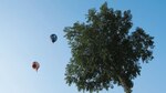 Globos en el horizonte