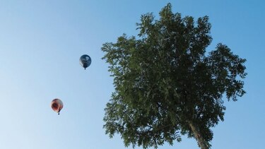 Globos en el horizonte
