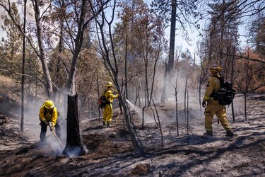 Se extiende incendio forestal en California dejando destrucción de viviendas