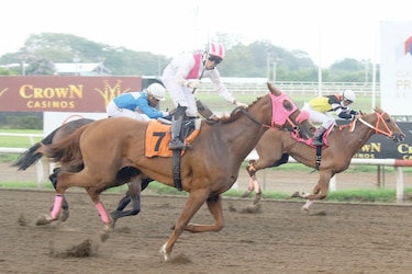 Honey Kingdom gana el clásico, en final electrizante