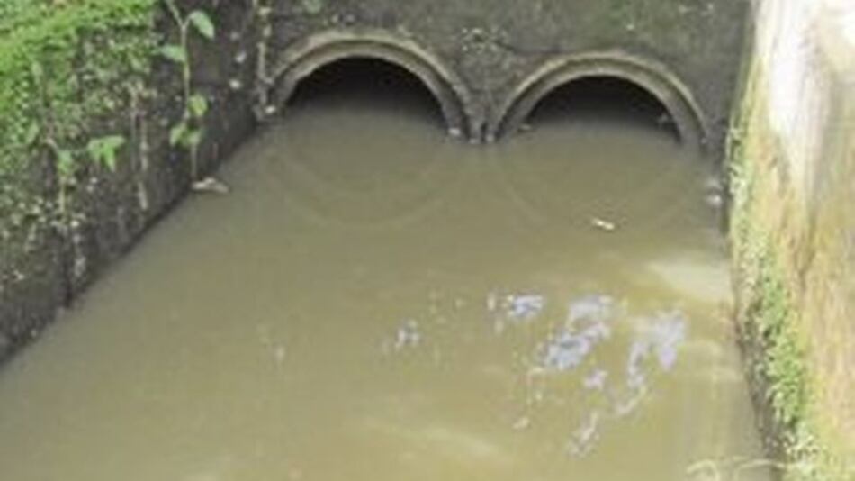 En Chiriquí, riesgo de contraer dengue