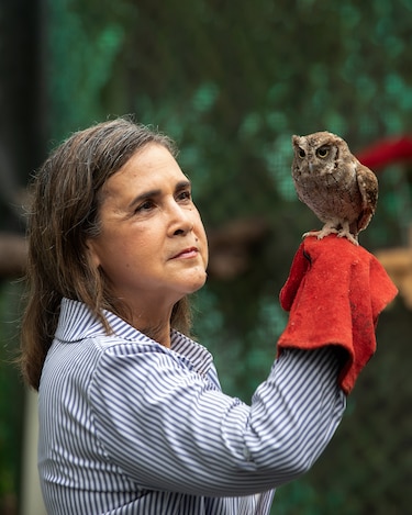 ‘No son mascotas’: Profesora Ileana Cotes, la encantadora de búhos