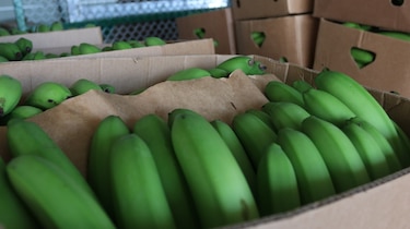 Exportaciones panameñas crecen pese a la salida del cobre