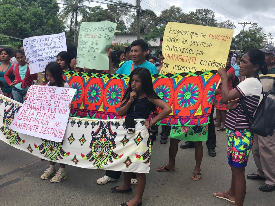 Un grupo de mujeres de la comarca Emberá Wounaan protesta contra la tala de los bosques