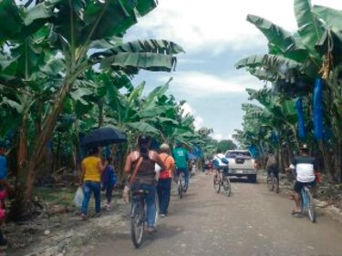 Bocatoreños llevan peticiones al presidente Varela