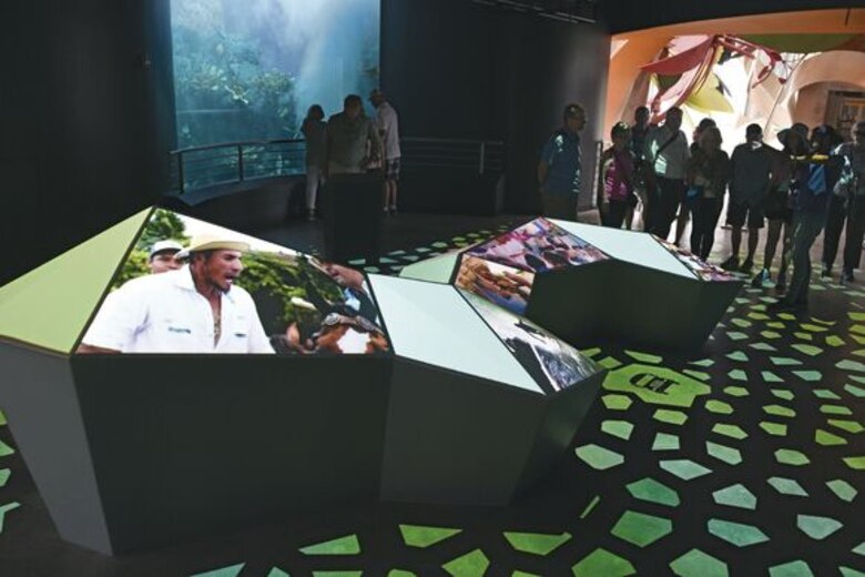 El Biomuseo crece y sigue su renovación