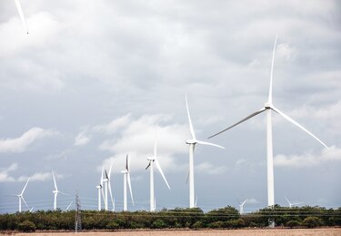 ONU apuesta a las energías renovables