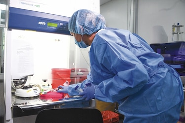 La bacteria ‘Klebsiella’, un riesgo para los hospitalizados   