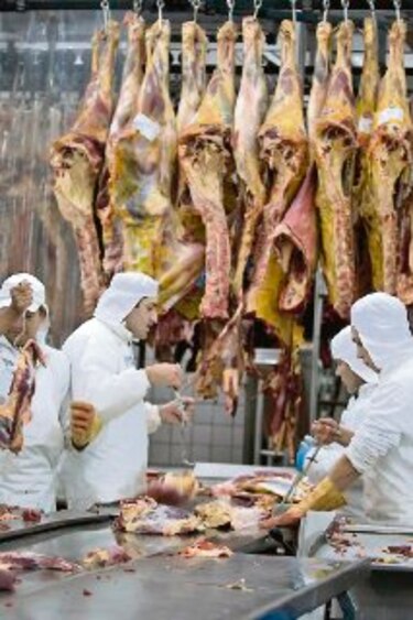 Producción de carne en Argentina sube 13.2%