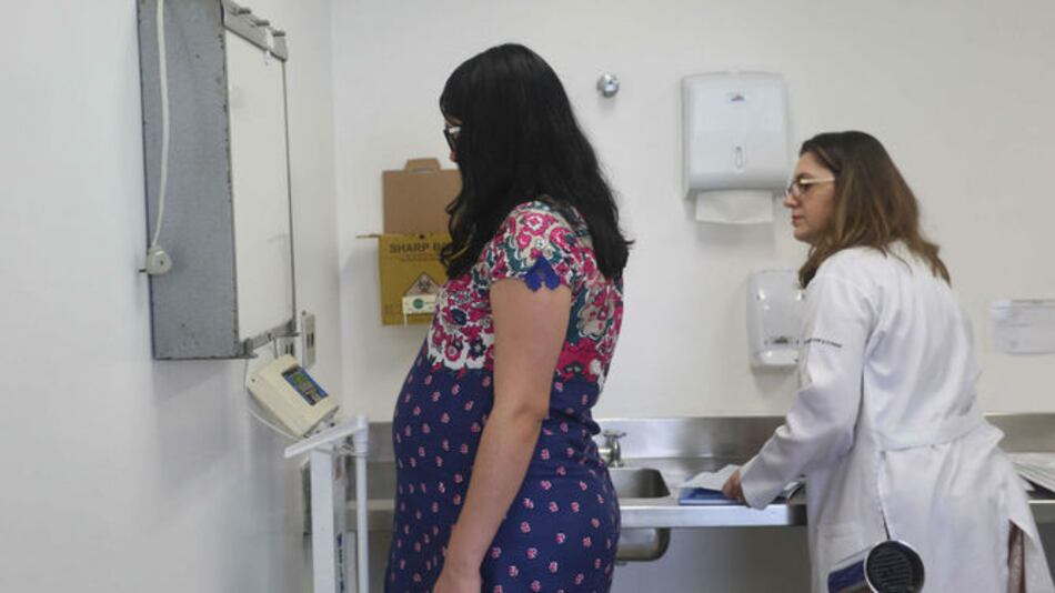 Equipos de Brasil y Estados Unidos inician investigación sobre el zika