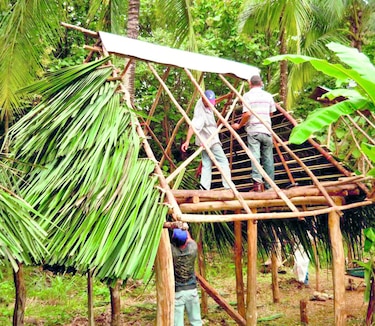 Piden plan de vivienda para evitar deforestación