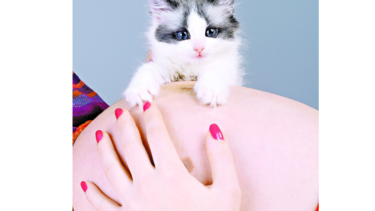 Toxoplasmosis, un riesgo para bebés