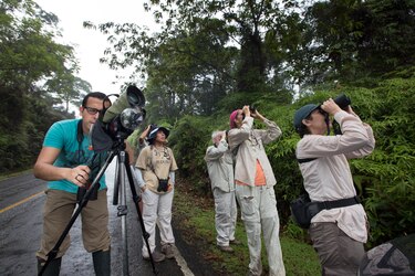 Llega la época de mayor migración de aves
