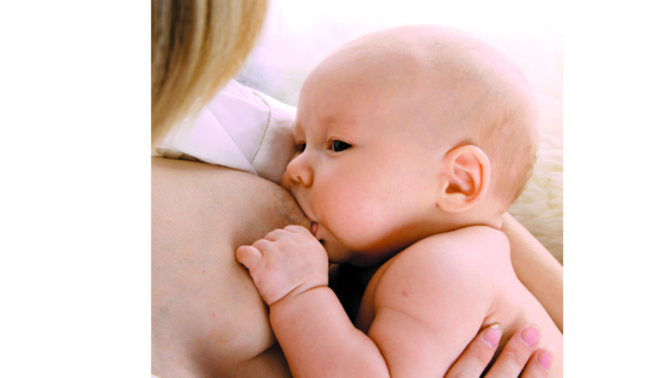 Están creando un útero artificial